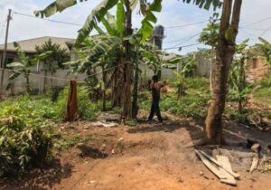 Agricultural Land for sale in Busunjju Mityana Uganda
