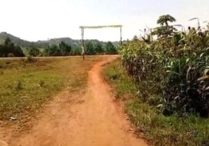 50x150ft Commercial Plot Of Land For Sale In Kikyedo Village in Kyegegwa