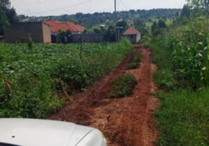 50x100ft plot up for sale at MAtugga-kavule asking 25m ugx titled. 1km off tarmac